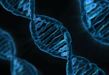 Genredigering og CRISPR-teknologi: Revolusjonerende eller kontroversielt