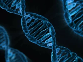 CRISPR-teknologi – Revolusjonerende eller kontroversielt? Genredigering og CRISPR-teknologi: Revolusjonerende eller kontroversielt