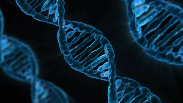 Genredigering og CRISPR-teknologi: Revolusjonerende eller kontroversielt